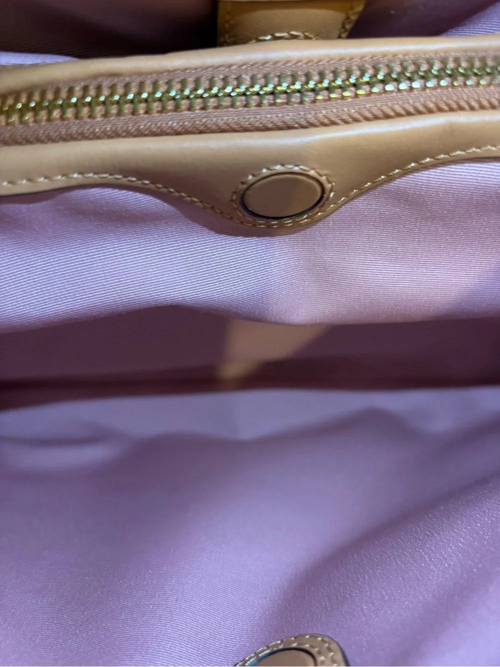 Coach nwt powder